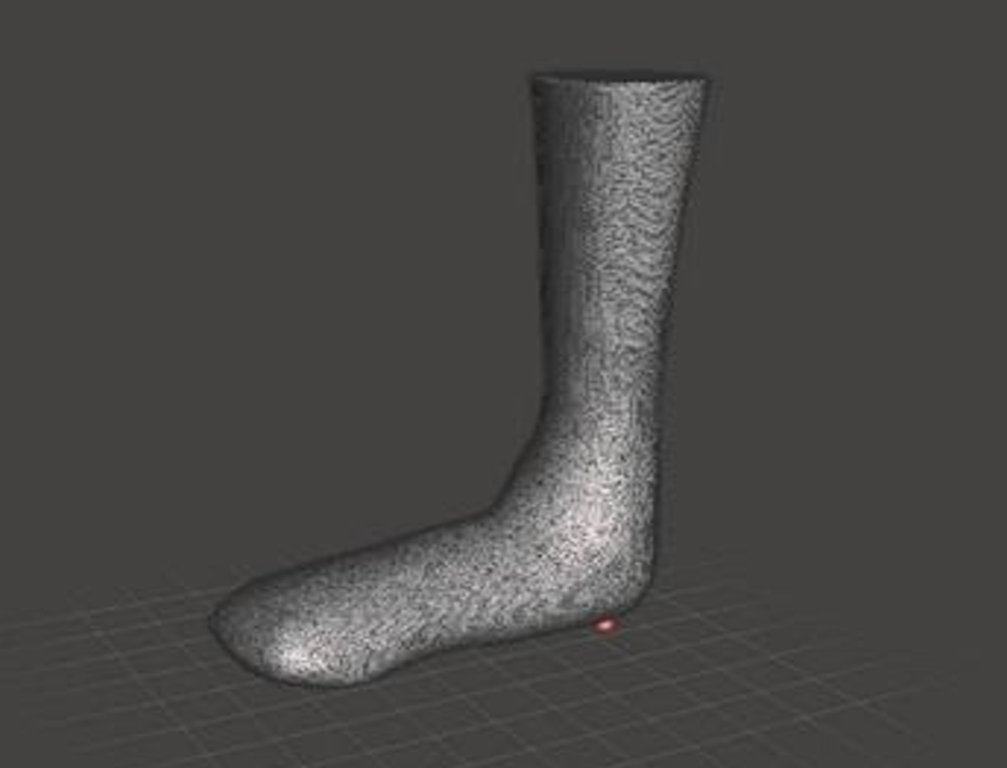 sample-foot